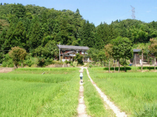 夏の田舎に行きたいです イメージとしては下の画像のような 良いと Yahoo 知恵袋