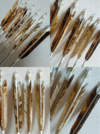 弓道の 矢羽根の種類とその 使っている上での 特徴を詳しく教 Yahoo 知恵袋