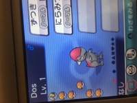 ポケモンのオメガルビーを始めたのですが 序盤のおすすめパーティを教えてく Yahoo 知恵袋