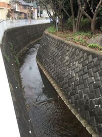 川や水路の近くに住んでる方教えてください 教えて 住まいの先生 Yahoo 不動産