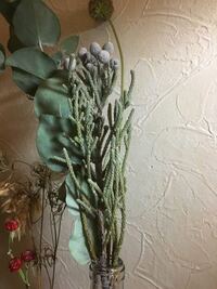 お礼100枚 桜の枝を花瓶で育てて 花は咲くのでしょうか 2月 Yahoo 知恵袋