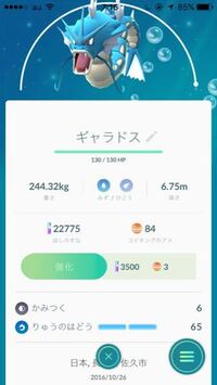 ポケモンgoでギャラドスは技解放した方がいいですか Yahoo 知恵袋