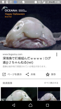 深海魚の ニュウドウカジカとブロブフィッシュって同じ同一深海 Yahoo 知恵袋