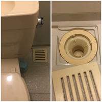 賃貸アパートのトイレから下水道のような臭いがします 画像のような排水口がありおそ 教えて 住まいの先生 Yahoo 不動産