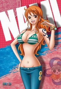 Onepieceのナミとロビンは巨乳になる実を食べたので2年間 Yahoo 知恵袋