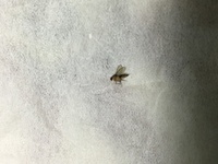 エヴァンゲリオンに 裏死海文書 なるものがよく出てきますが 死海 Yahoo 知恵袋