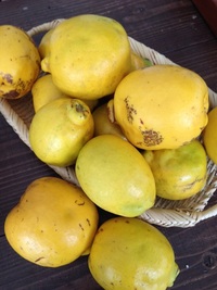 かりん酒を 作ったのですが 漬けた後の花梨の実の 使い道を教えてください Yahoo 知恵袋