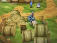 今作のポケモンxyの廃人ロードってどこですか 教えてください 7番道 Yahoo 知恵袋