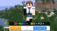 Minecraftのスキンについて スキンが反映されないのですがどうすれば言い Yahoo 知恵袋