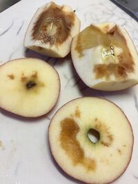 リンゴ 腐っ た