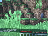 マイクラのjava 1 16 1 でかげmodを入れる方法を教 Yahoo 知恵袋