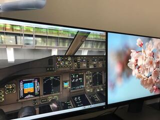 至急 Fsxをデュアルディスプレイでやりたいのですが 1つの画面でし Yahoo 知恵袋