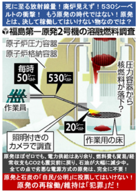 「FROM JAPAN 公式アカウント01」出品商品（他の方の購入は✖） メルカリの海外代行業者【越境販売(越境EC)事業者】をトラブル回