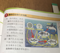 中学理科の食物連鎖の問題です 画像をご覧ください 食べられる 食べるの Yahoo 知恵袋