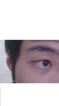 大学生 男 です ぼさぼさな眉毛を自然な形に整えたいのですが Yahoo 知恵袋