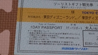 東京ディズニーリゾートで使えるツーリストギフト観光券 近畿日本ツーリス Yahoo 知恵袋