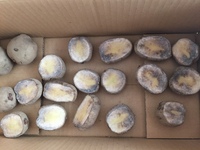 じゃがいもの種芋を買って 3週間芽出しをし 3日前に半分に切りました Yahoo 知恵袋