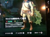 ゼルダbotw 素材 夜光石 の効果 能力 入手方法 ベストコレクション ゼルダ ブレスオブザワイルド 鉱石 简明教程