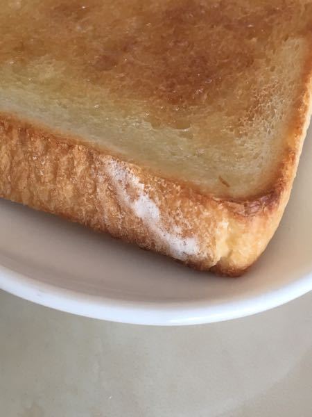 冷凍していた食パンを食べようとしたら白いものがついていました 