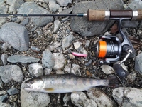 渓流の女王ヤマメ と言いますが 渓流の王様は誰ですか Yahoo 知恵袋