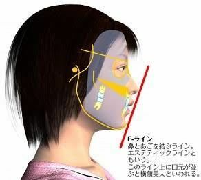 顔のeラインについて この画像によると鼻の先から顎の先にかけてま Yahoo 知恵袋