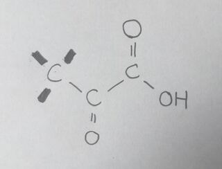 ピルビン酸の構造式 ピルビン酸の構造式を書いていたのですが 図 Yahoo 知恵袋