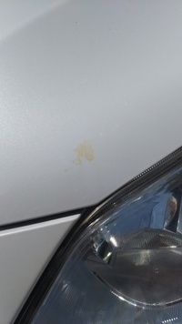 車に鳥の糞が付いたら どう対処すればいいの 比較的屋根が多い Yahoo 知恵袋