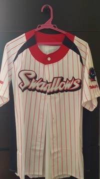 カープ女子の服装について ホームとビジターでどちらのレプユニが可愛いと思いま Yahoo 知恵袋