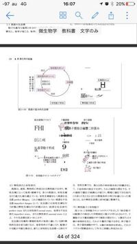 書籍を自炊した場合のpdfとjpgの違いについて 以前 自炊の仕方に Yahoo 知恵袋