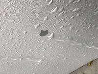 Lineポップ2のスヌーピーイベントについてなんですけど Yahoo 知恵袋