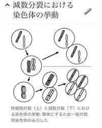 アメーバピグのようなゲームってありませんか アメーバピグのような Yahoo 知恵袋