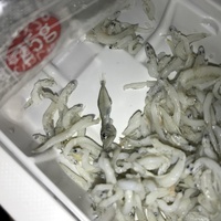 買った釜あげしらすの中に違う生き物がいました 何かわかるかた Yahoo 知恵袋