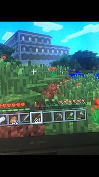 マインクラフトで探検をしていたら画像のような建物がありました これは一 Yahoo 知恵袋