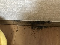 家のトイレの棚に変な茶色い粉みたいなのがあって 何か分からなくて困 Yahoo 知恵袋