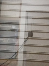 雨戸についてるこれってなんですか 操作紐 です W Yahoo 知恵袋