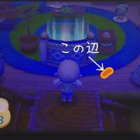 とびだせどうぶつの森 ゴキブリについて質問です 村長以外の Yahoo 知恵袋