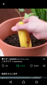 キウイ半分とバナナ半分を植えたらバナナの中がキウイになってっていう動画どー見て Yahoo 知恵袋