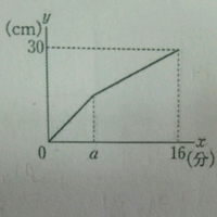 決まりました水槽、横124cm、たて81cm、深さ30cm