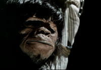 猿の惑星 はゴーロン星人のパクリですか 昨日のファミ劇でゴ Yahoo 知恵袋