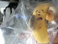 一昨日くらいに買ったバナナに繭みたいなものが付いていました自分で調べた Yahoo 知恵袋