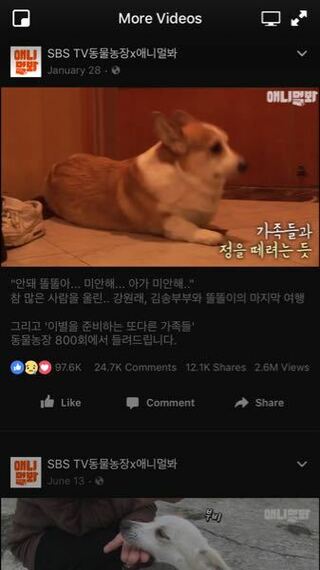 韓国語翻訳 Facebookを見ていたら 太ってる辛そう Yahoo 知恵袋