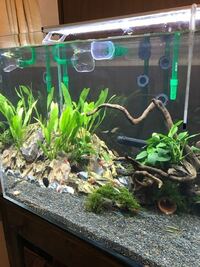 質問です 60 45 45cm水槽で濾過器がエーハイム2213 Yahoo 知恵袋