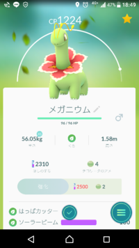 ポケモンハートゴールド ソウルシルバーについて ベイリーフでヒワダ Yahoo 知恵袋