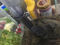 アクアテラリウムについて 底面フィルター エアーポンプについ Yahoo 知恵袋