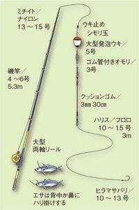 泳がせ釣りや落とし込み釣りで青物を狙う場合のリーダーの結び方皆さんはfgかpr Yahoo 知恵袋