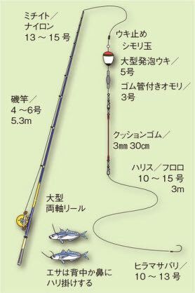 カンパチの泳がせ釣りについて 初心者なのでわかりやすいご回答 Yahoo 知恵袋