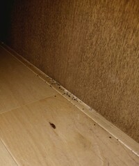 この糞は ゴキブリ 蜘蛛 昨日 シンク横の棚の下に大量の黒い糞を見つけました こ 教えて 住まいの先生 Yahoo 不動産