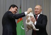 プーチンさんの前で犬をつまんで持ち上げた方がいましたが 何故あのような持 Yahoo 知恵袋