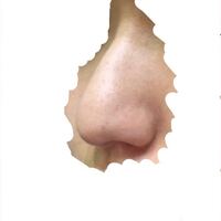 つんっと尖った鼻に憧れてるのですが 写真のような垂れている鼻 Yahoo 知恵袋