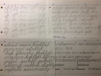 筆記体 文字の繋げ方 繋げて書く練習を始めました 独学で見様見真似で書 Yahoo 知恵袋